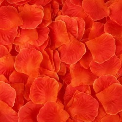 Pack de 100 Pétales de Rose - 100610RED