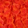 Pack de 100 Pétales de Rose - 100610RED